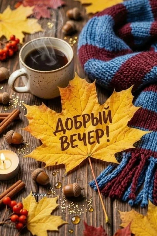 Открытки: подписаться ❤️
