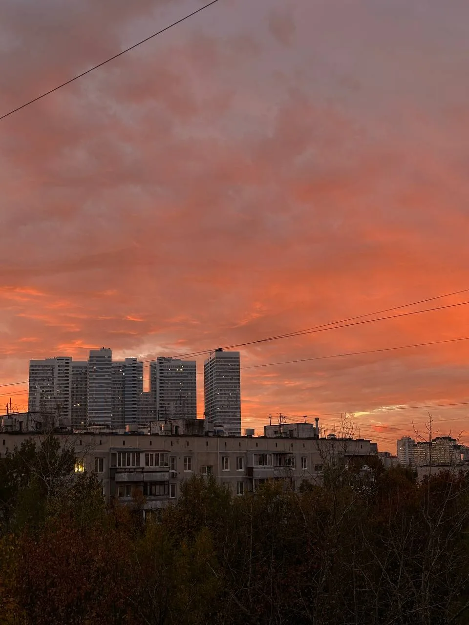 Сегодняшний вечер запомнится! 🌊 Закат был невероятно красивым, а ужин — просто восхити...