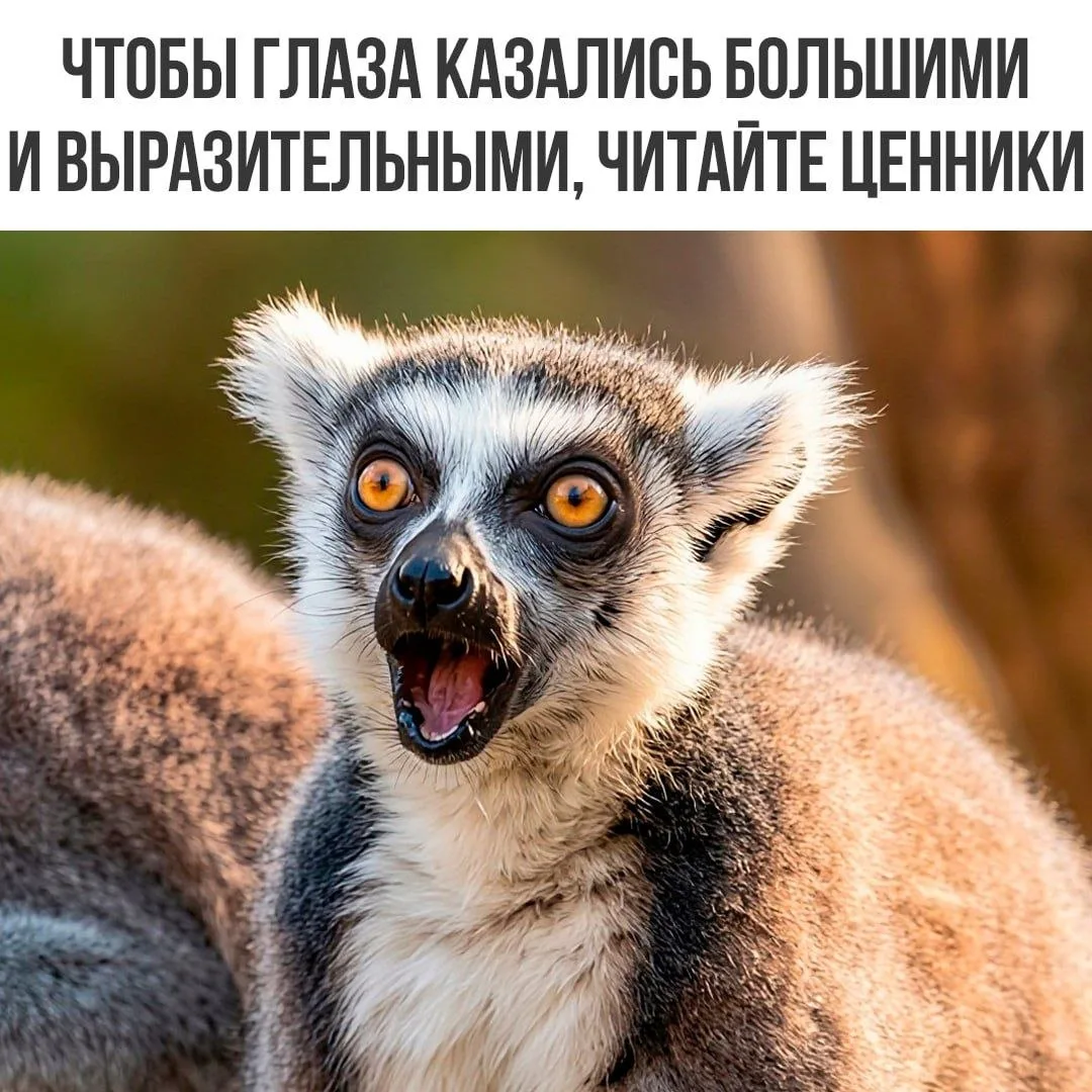 Подпишись на юмор 😂