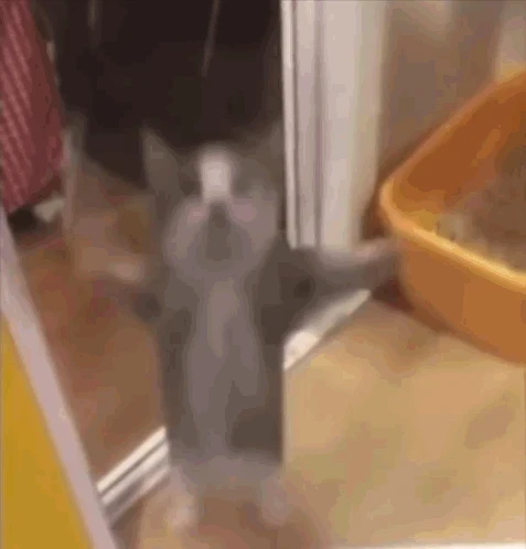 🥳ВПР ПРЕДЛОЖИЛИ ОТМЕНИТЬ