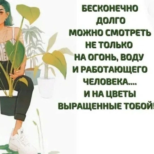Немного юмора.