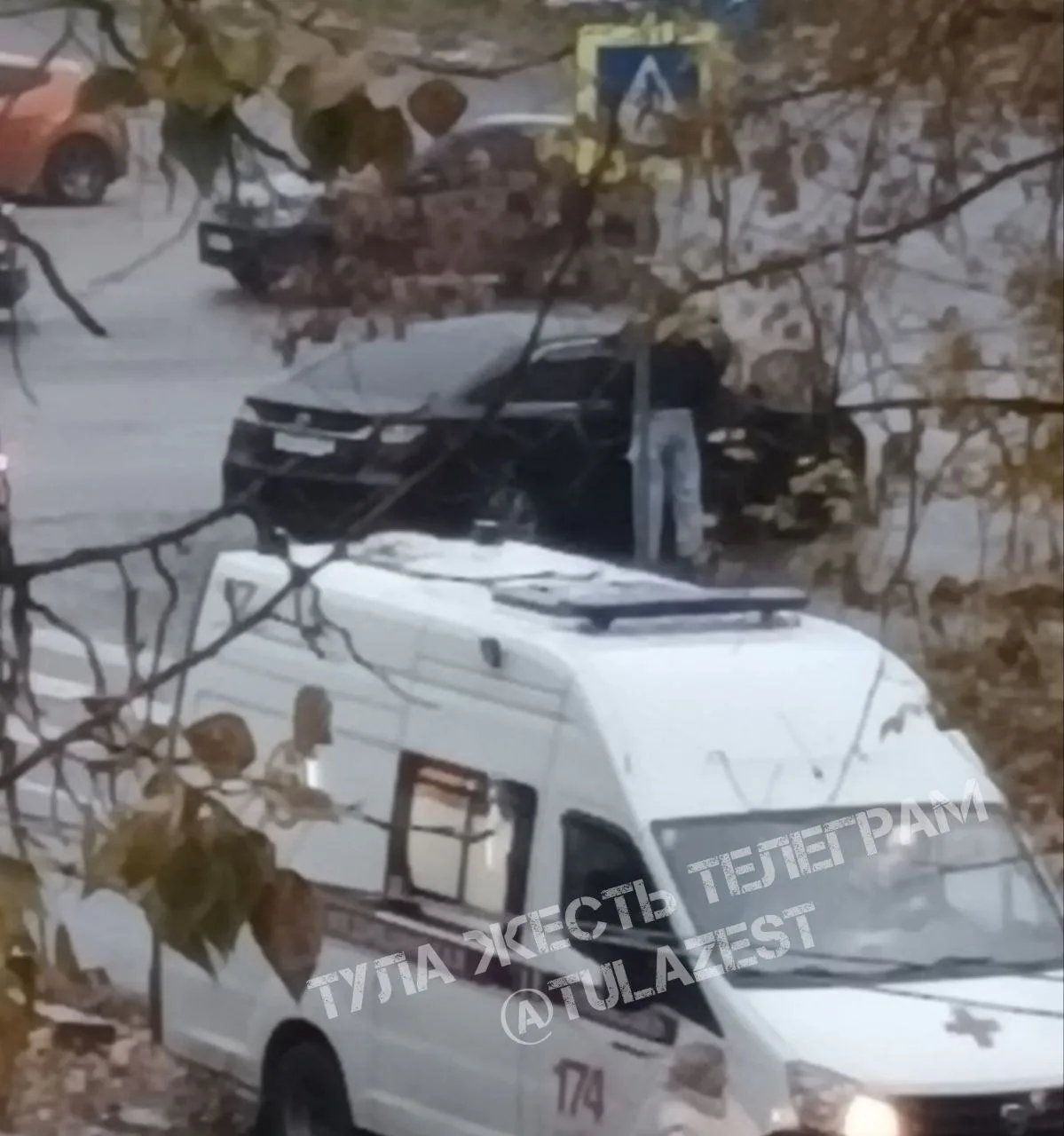 ❗️На Ползунова сбили пешехода