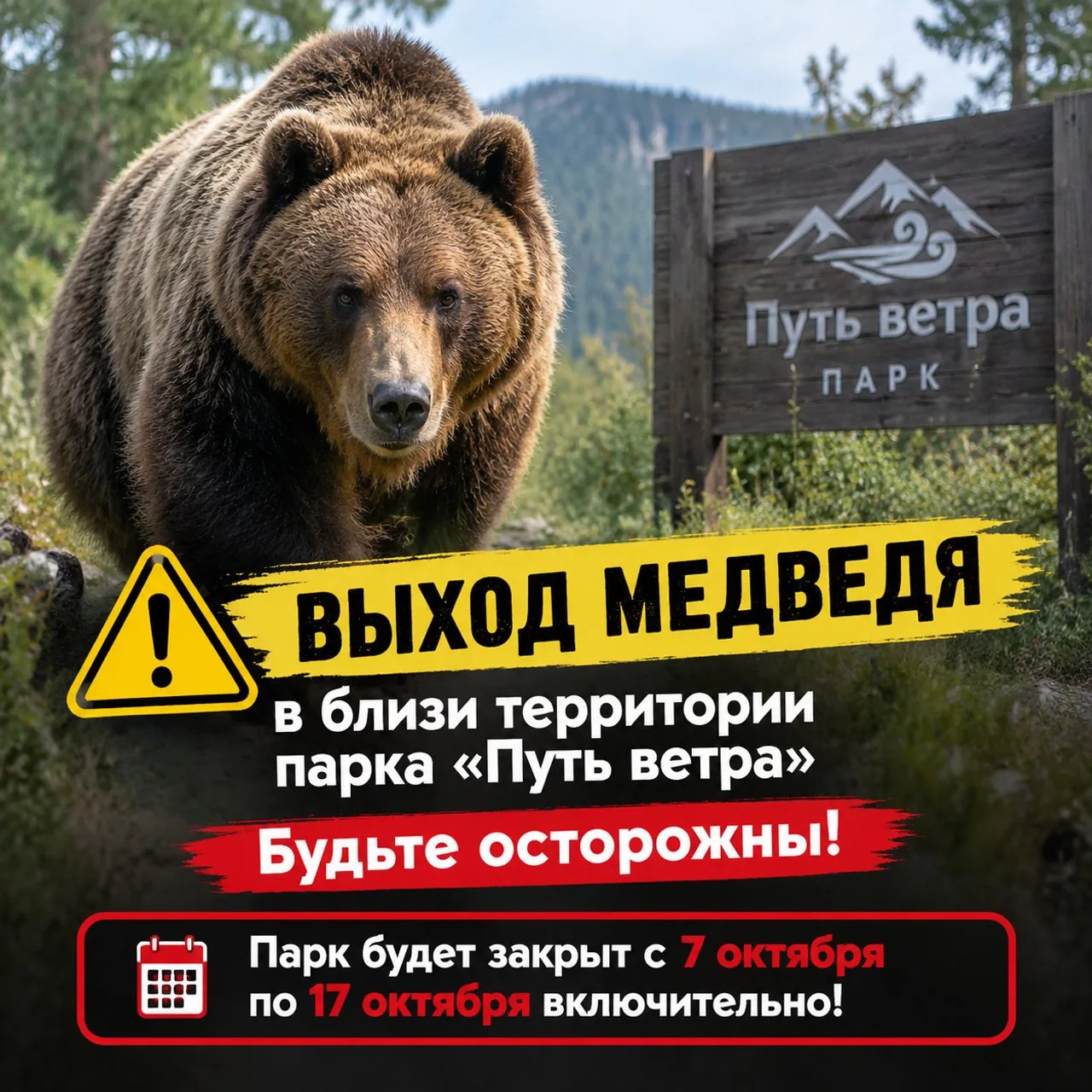 Внимание ❗️❗️❗️