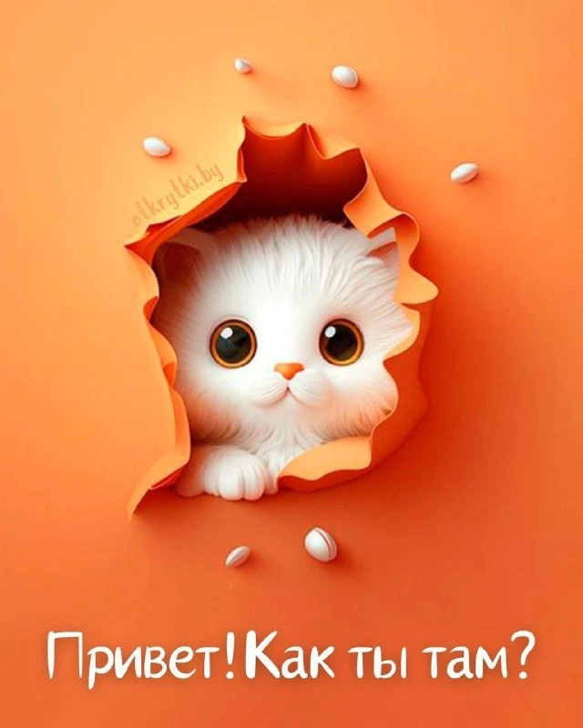 🎁 Поздравления! 😙