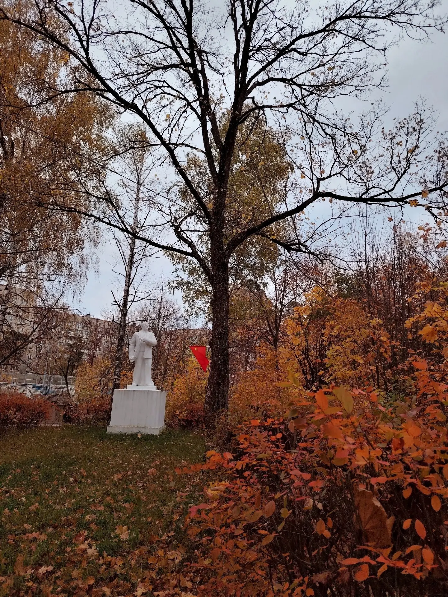 Осенний #Жуковский