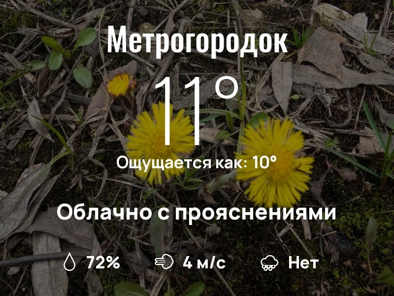 Что с погодой в Метрогородке?