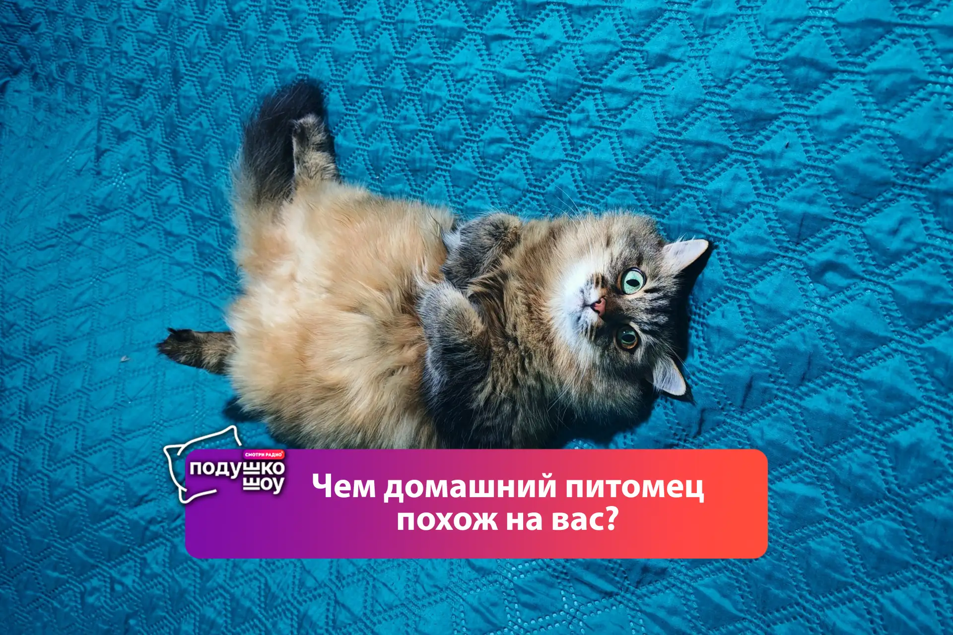 Доброе утро!
