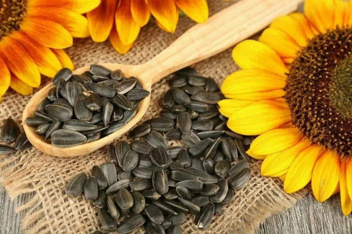 🌻 Неожиданная польза семечек для здоровья печени