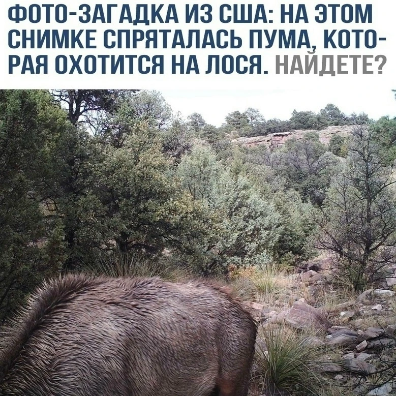 Нашли?