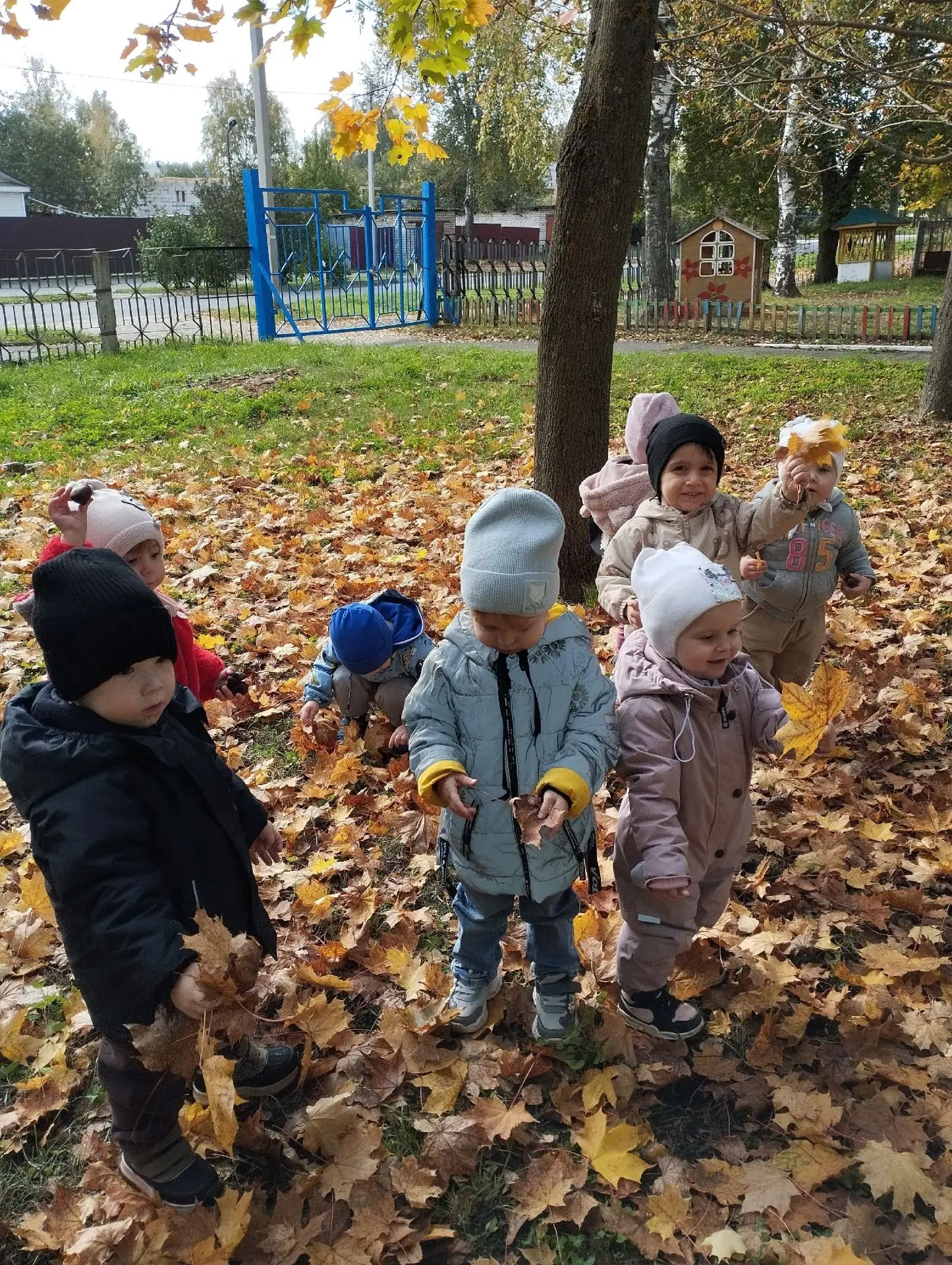 🍂 Осенняя прогулка — это маленькое приключение! 🍁