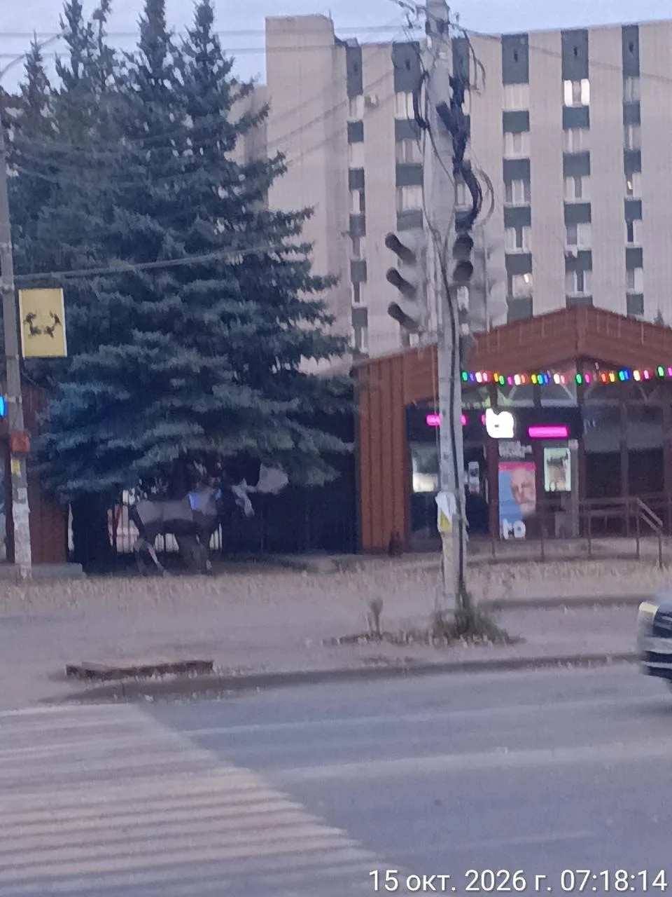 🚦 Опасный перекрёсток весь день был без светофоров