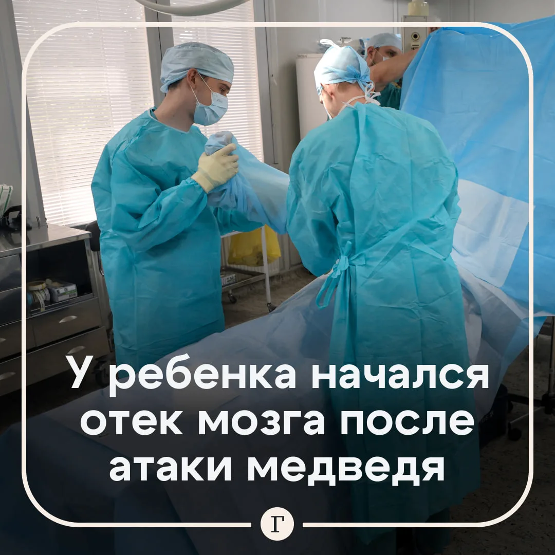 Появились подробности о состоянии подростка, который пережил нападение медведя.