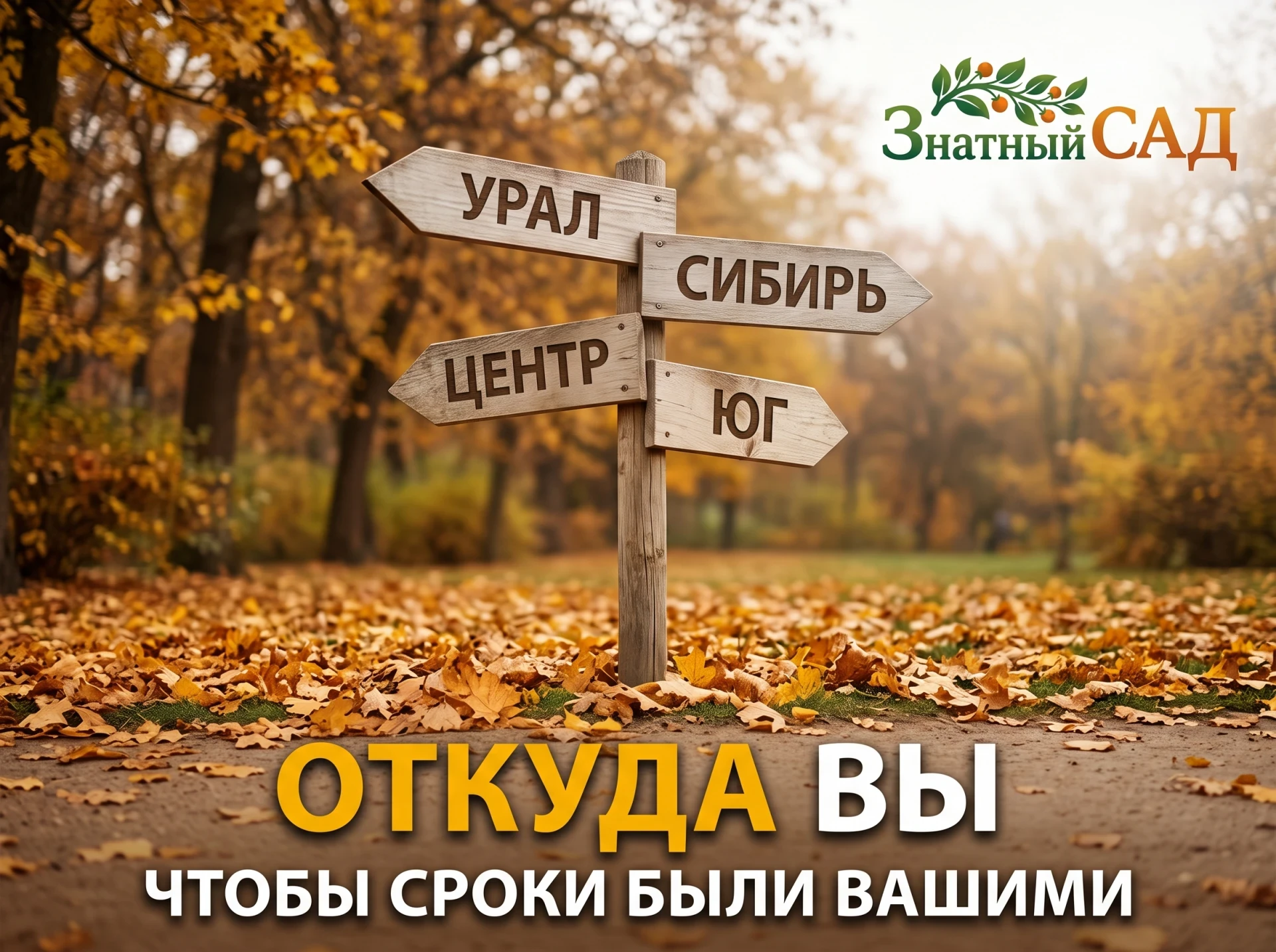 🗺️ ПОМОГИТЕ НАМ ДАВАТЬ ВАШИ СРОКИ