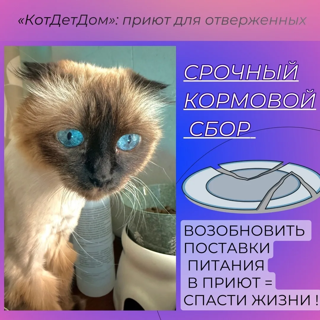 Друзья, у приюта огромен риск быть вычеркнутыми из списка кормовых заявок❌