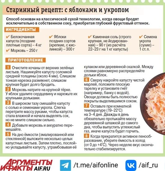 Старинный и современный способы заквасить капусту: выбирайте, какой вкуснее