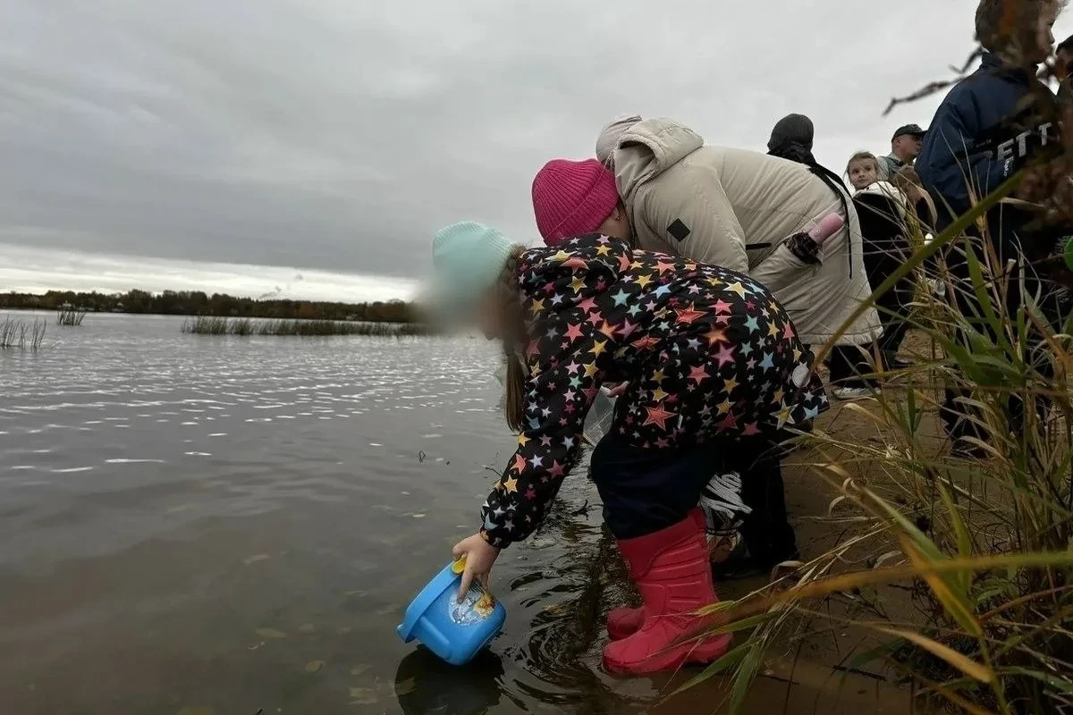Школьники собрали крышки для рыб Волги