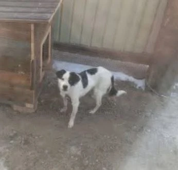 Здравствуйте всем