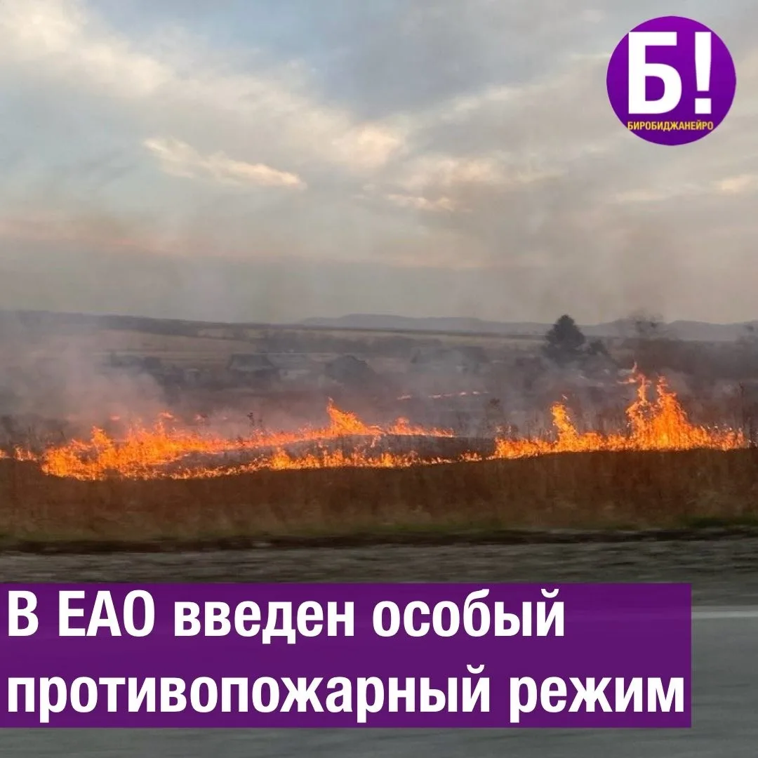 В ЕАО введёт особый противопожарный режим🔥