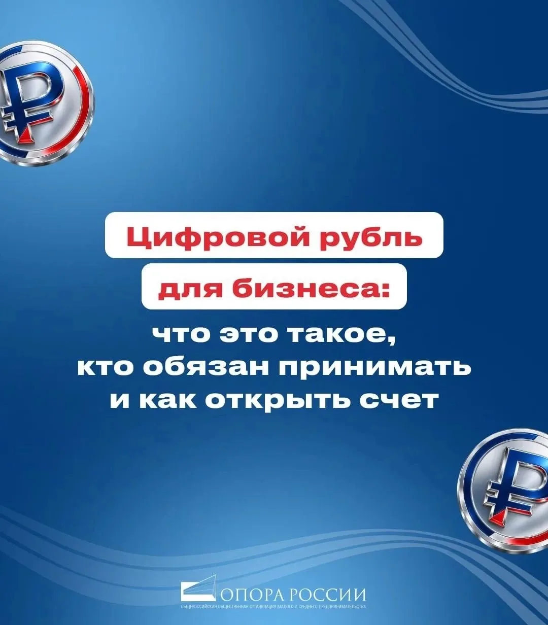 Цифровой рубль для бизнеса: что это и как открыть счёт 💳