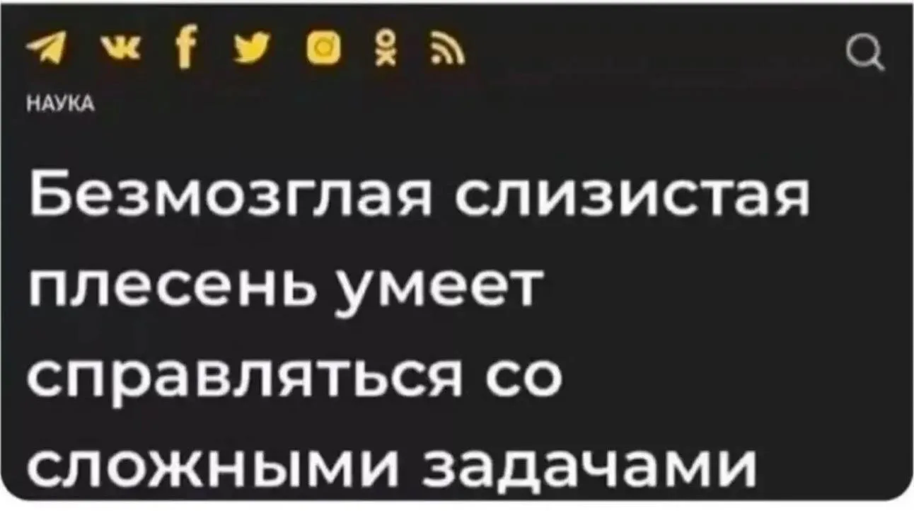 Как говорится инициатива, трахает инициатора 🤣
