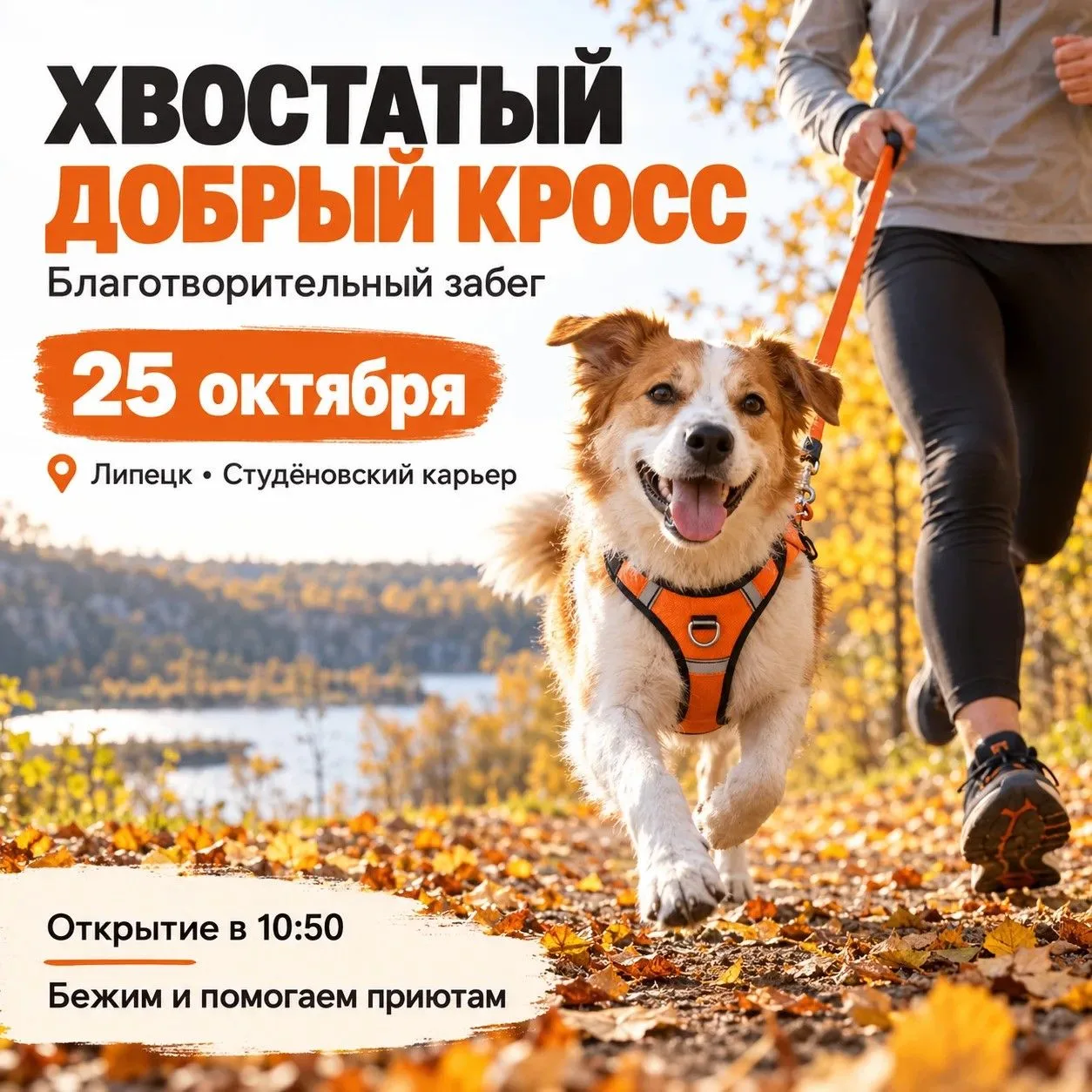 На этом забеге можно встретить соперника с четырьмя лапами. 🐶🐾