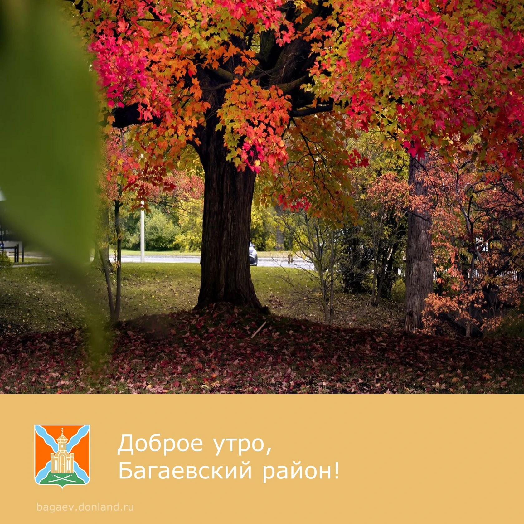 ☀️ Доброе утро, уважаемые жители Багаевского района!