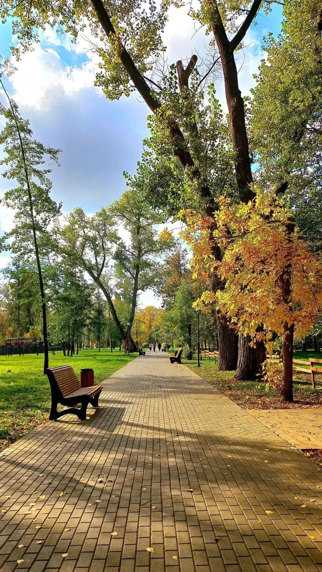 🍁Осенний Липецк🍂