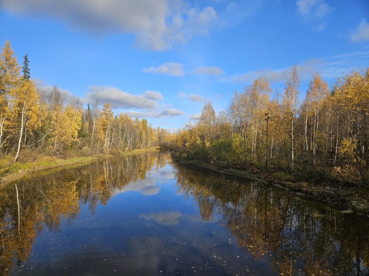 Краски осени.