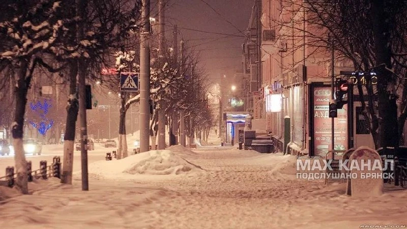 Брянскую область зимой ждут сильные снегопады и оттепели