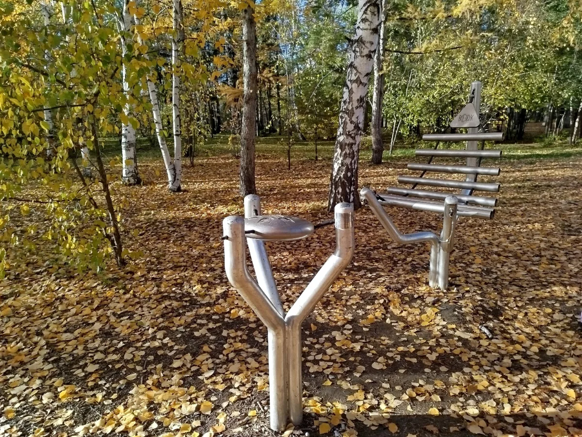 В омском парке появятся новые музыкальные скульптуры