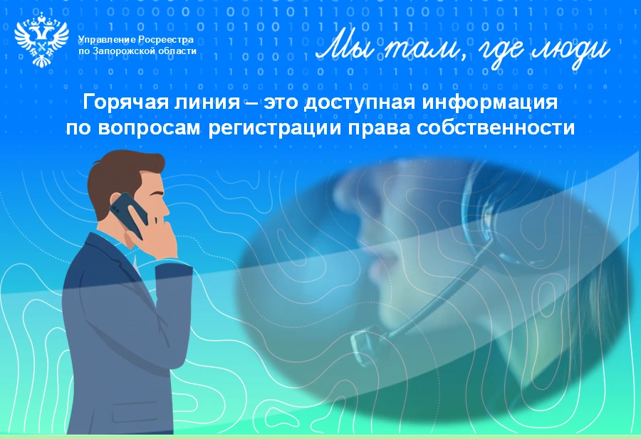 Горячая линия: справочная консультативная помощь заявителям