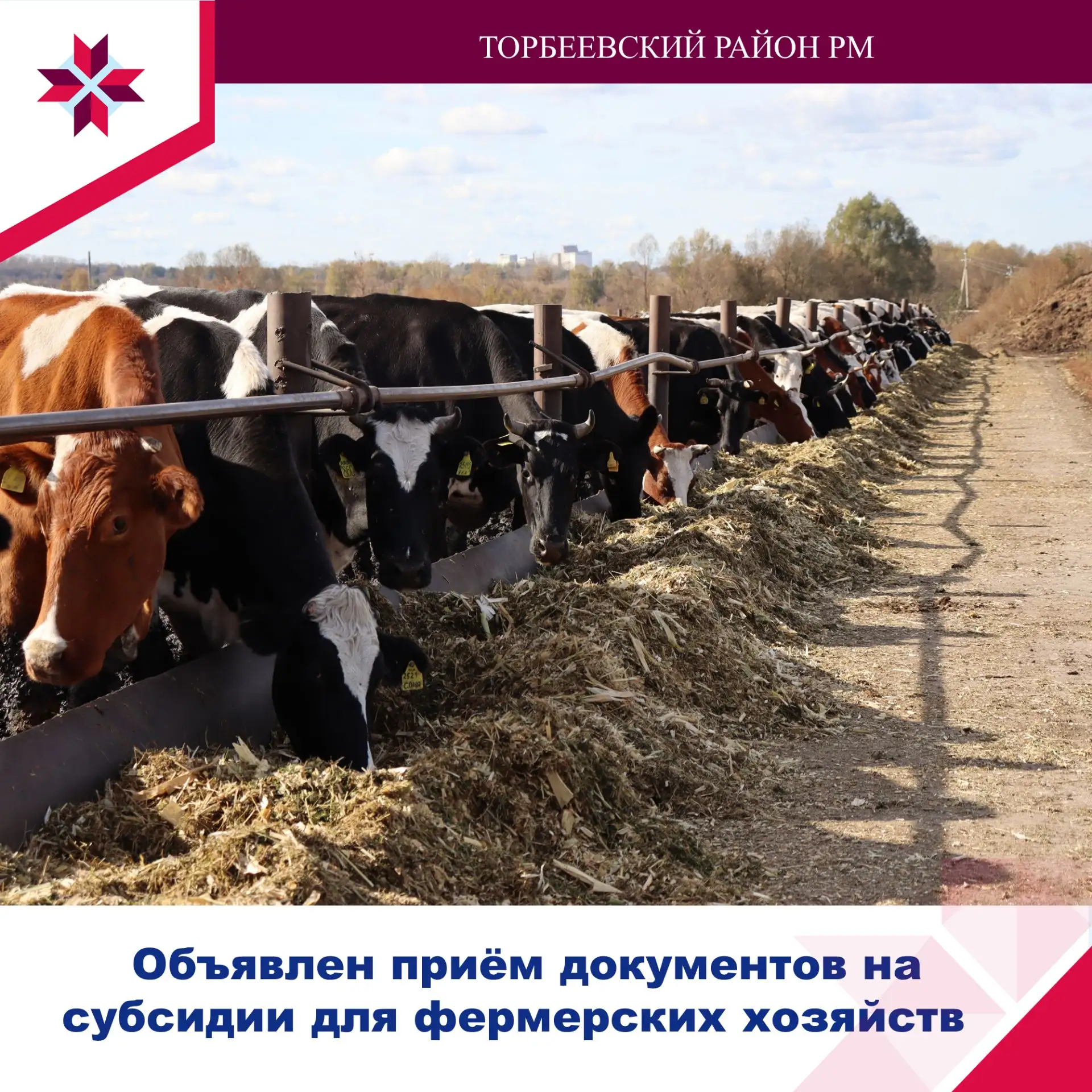 📢 Объявлен приём документов на субсидии для фермерских хозяйств