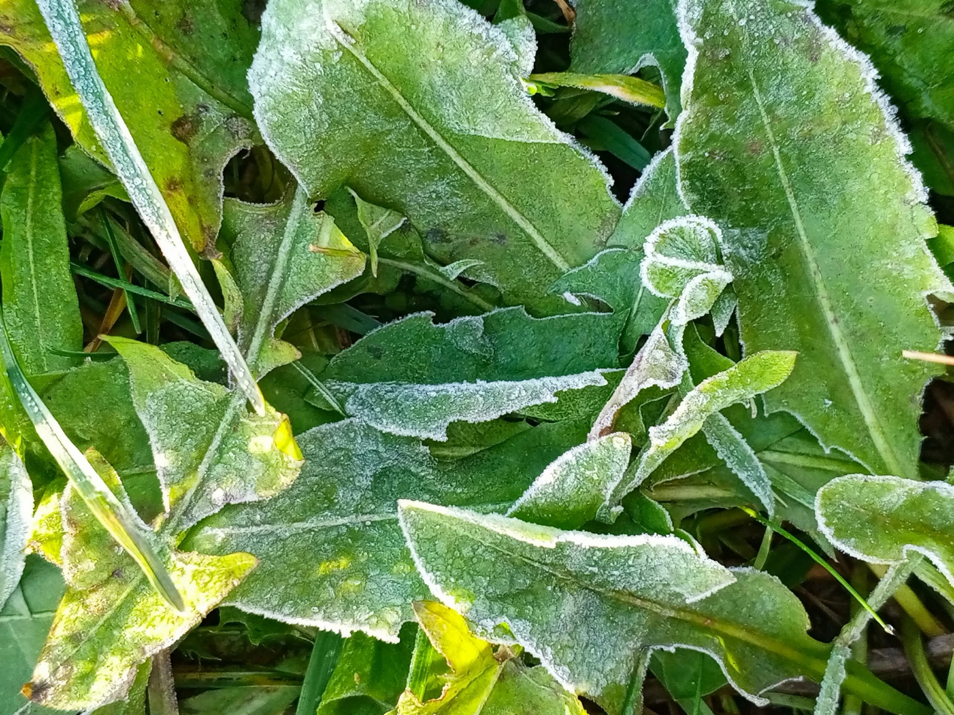 🍂❄ Доброе утро!