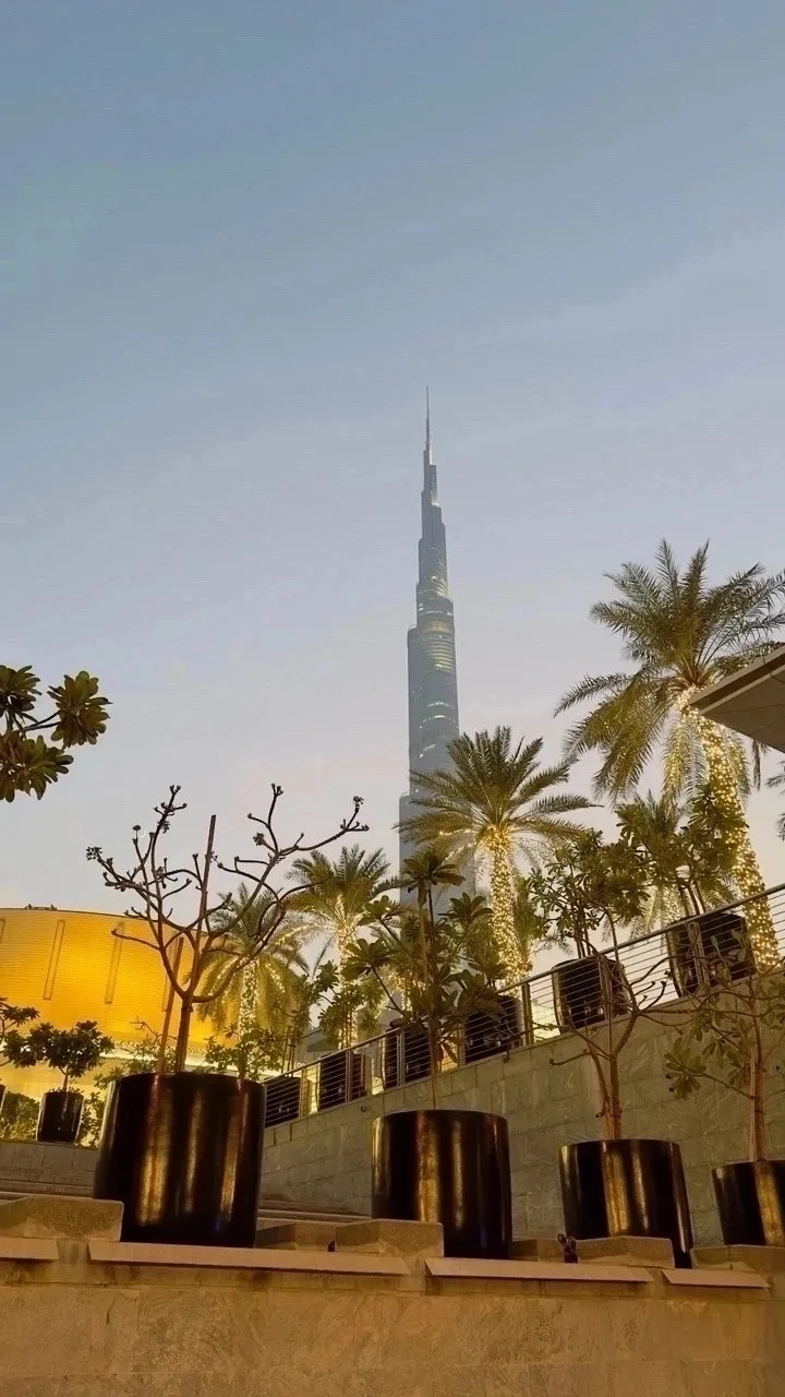 🏖🍦🍓 ОАЭ 🇦🇪 ·