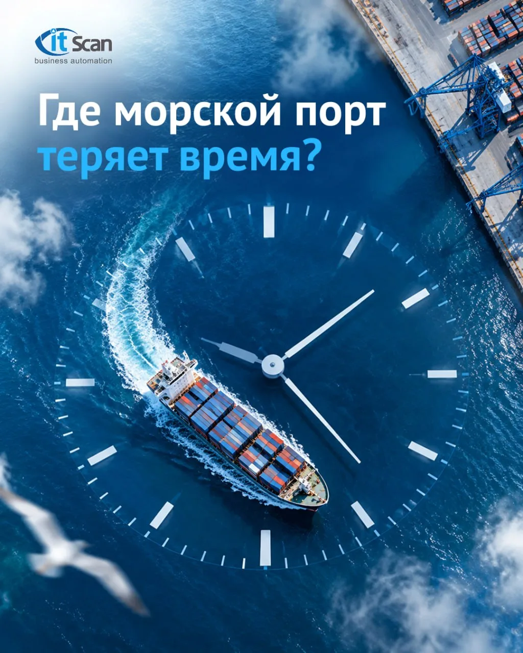 ⏰ Где морской порт теряет время?