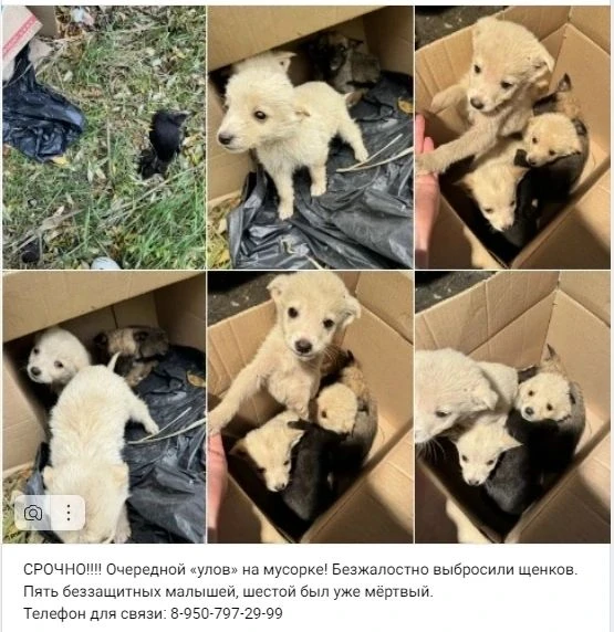 Малыши очень хотят жить, а не выживать!