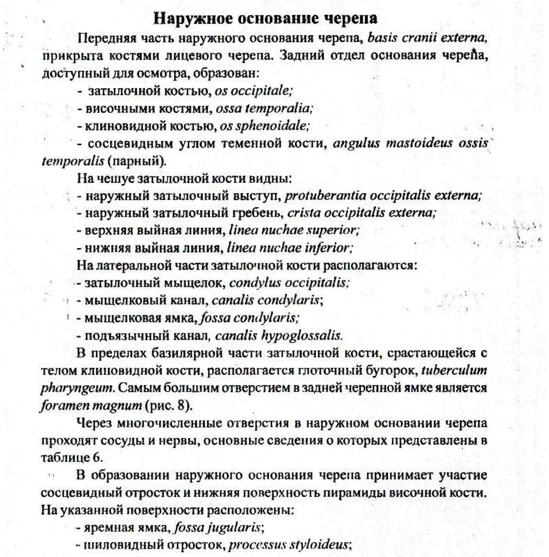 Основание черепа