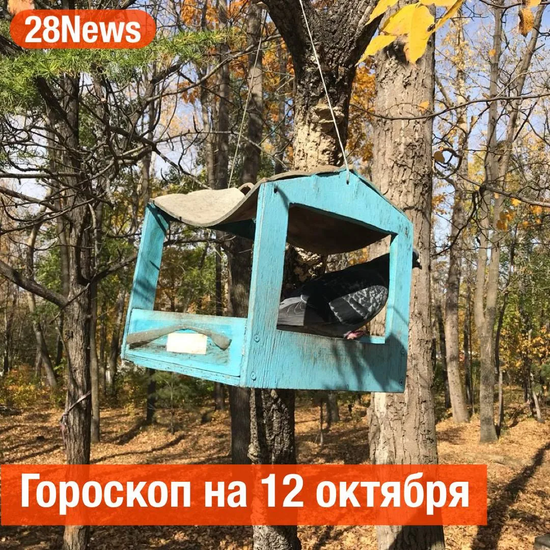 ♈️ Овен