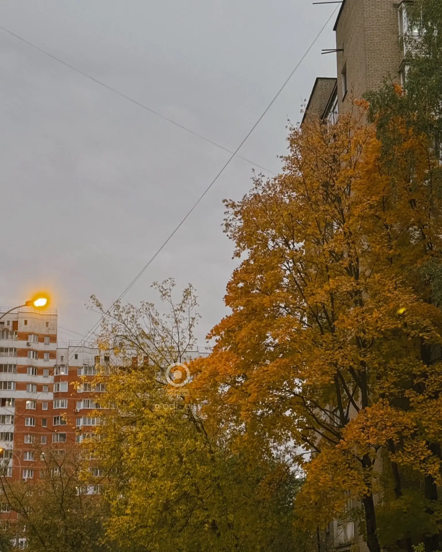 Более 100 беспилотников было сбито за ночь на подлете к Москве