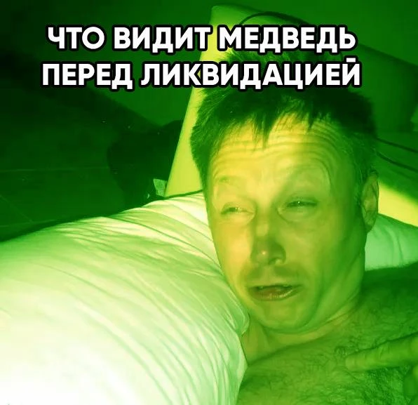Более 3,4 тыс. опасных медведей ликвидированы в России с начала года — ТАСС.