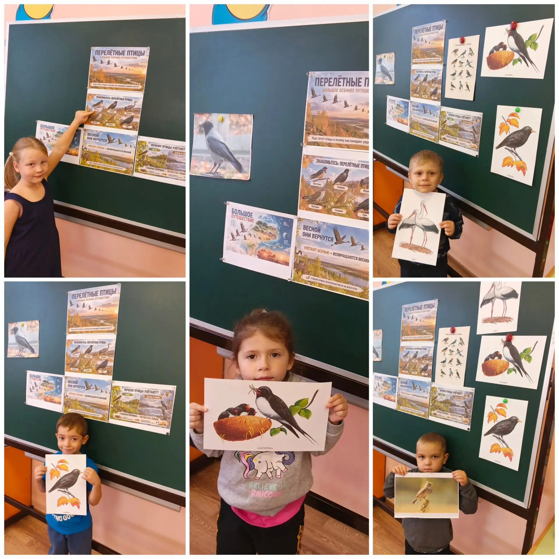🐦 Сегодня в «Звёздочках» был День перелётных птиц! 🐦