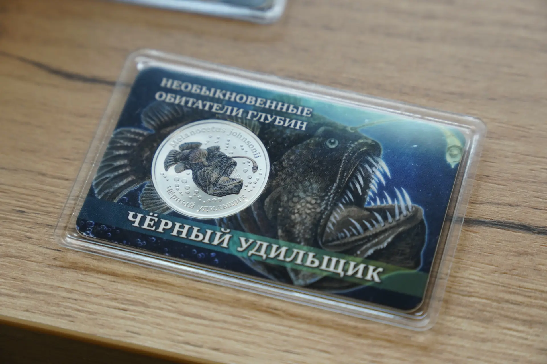 Монета в подарок: что может быть интереснее привычного сувенира