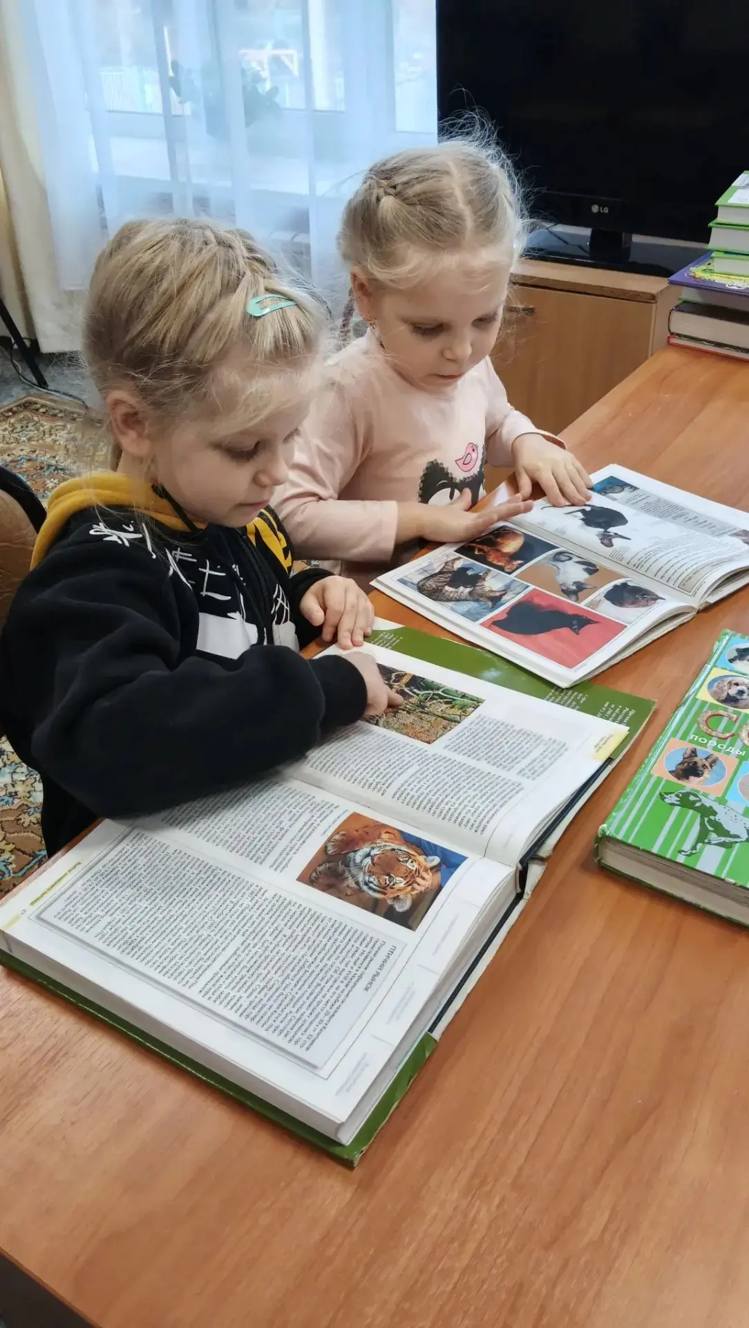 Библиотека для маленьких✨