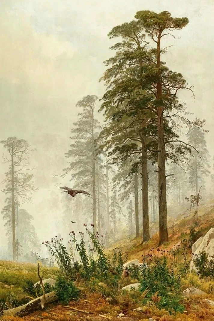 🍂 Утро, которое дышит историей