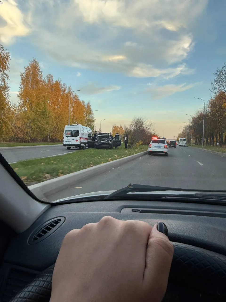 Лесная дтп