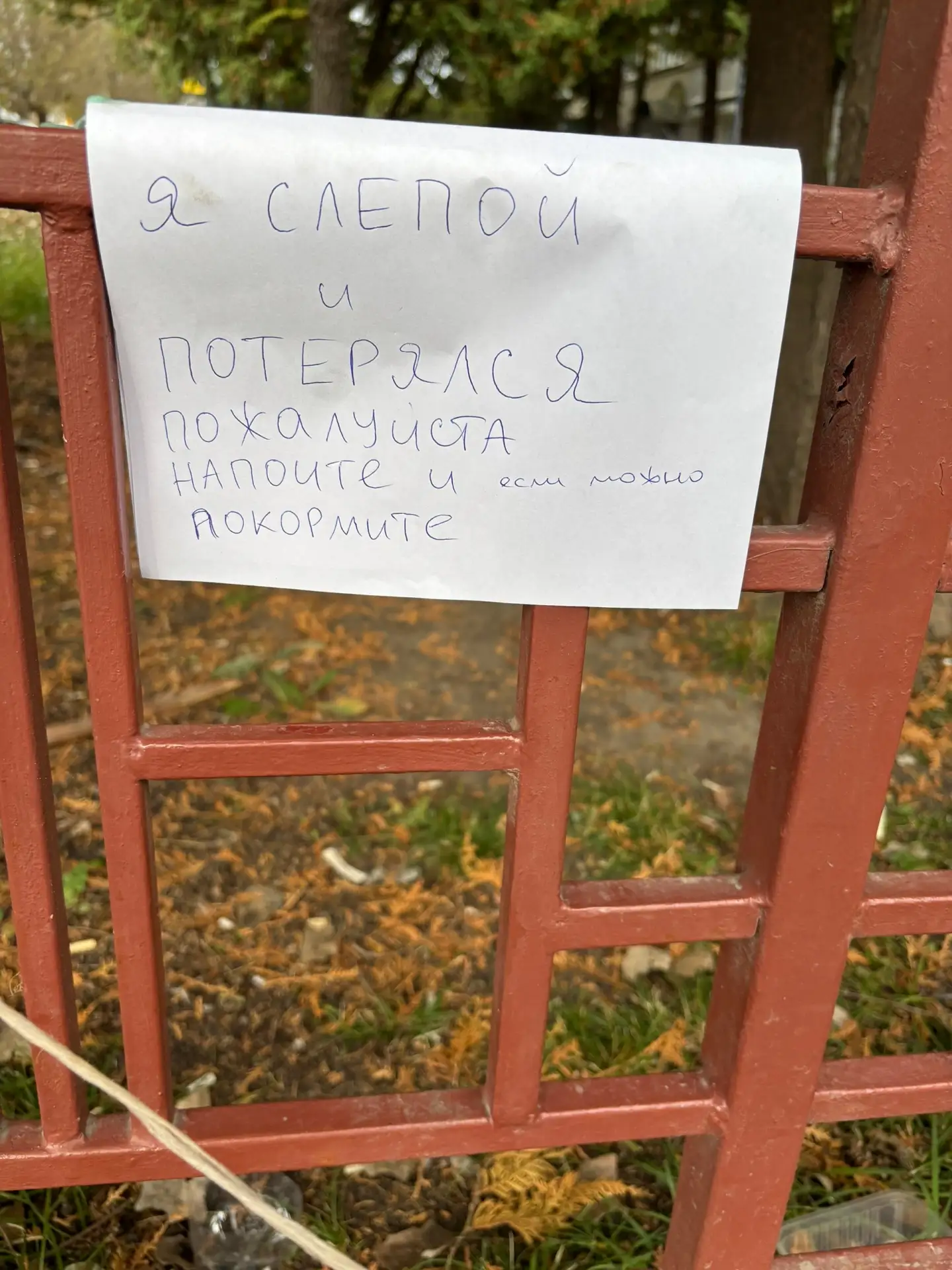 СРОЧНО! ТАМБОВ, СЕВЕР! СЛЕПУЮ СОБАКУ БРОСИЛИ У ЗАБОРА НА СОВЕТСКОЙ, 191!