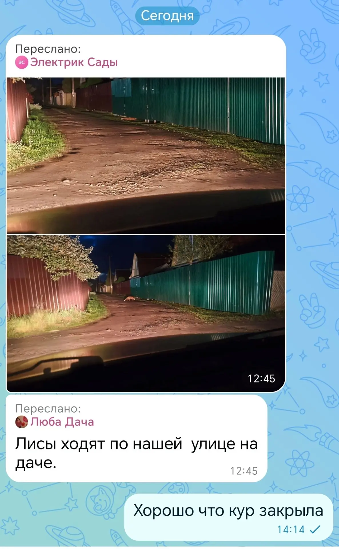 Не зря я кур закрыла 🙏