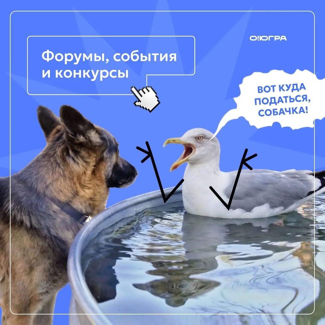 Наша-то выяснила: осенью улетают не только на юг, но и на новые проекты!