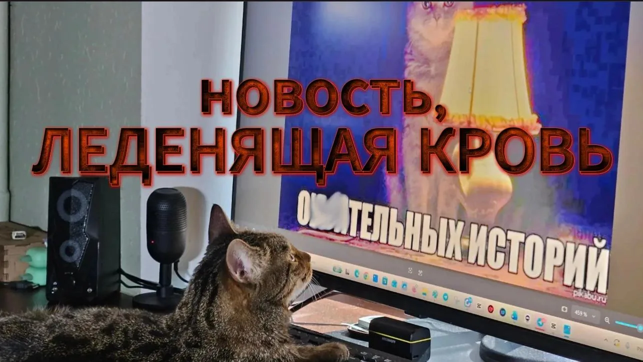Леденящую кровь историю выдал первым куевский Главком, затем её подхватила ВВС и другие...
