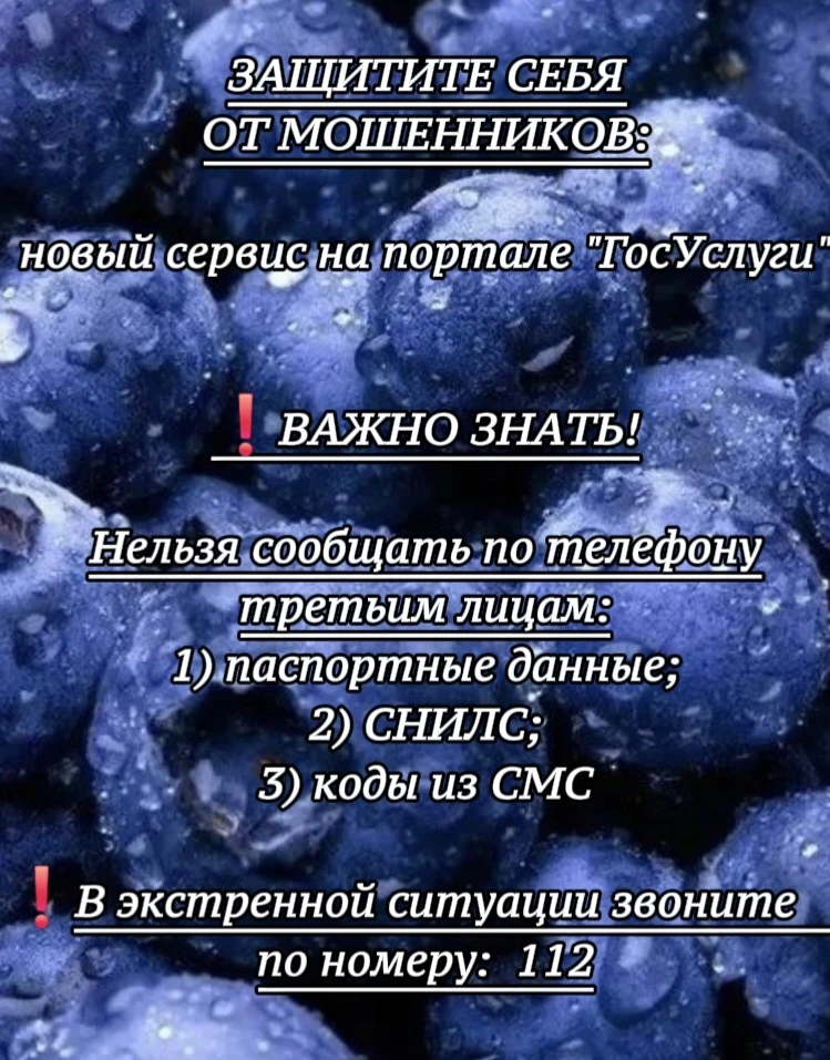 На «Госуслугах» появился сервис для защиты жителей Камчатки от мошенников
